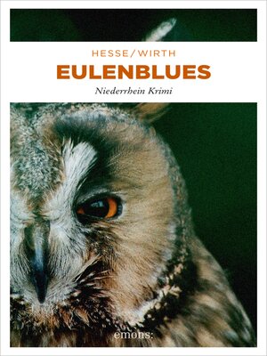 cover image of Eulenblues